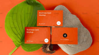 demo-attachment-1798-eh9jwsul